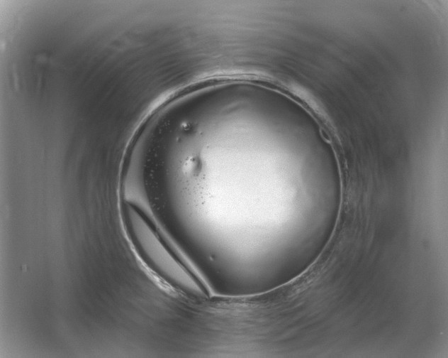 X0000064721237200602241627