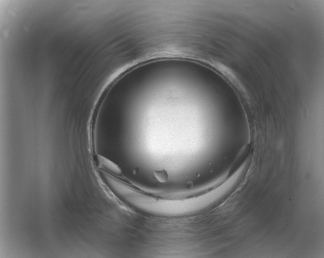 X0000064721238200602241627