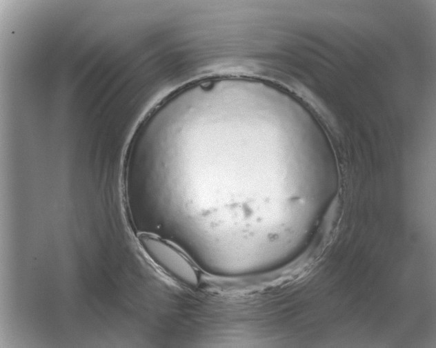 X0000064721240200602241627