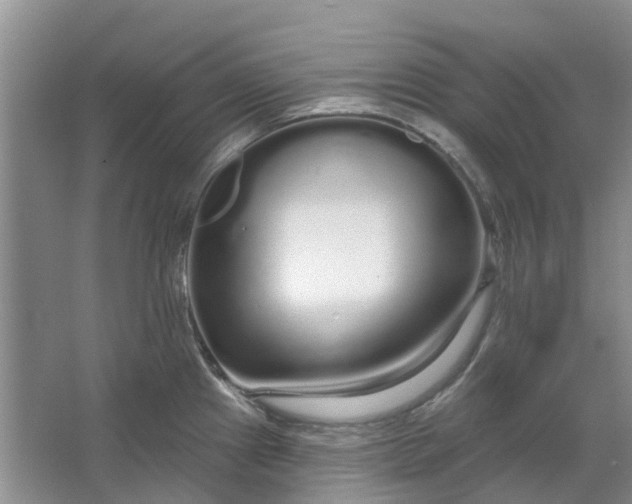 X0000064721241200602241627