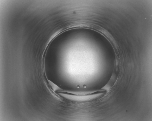 X0000064721242200602241627