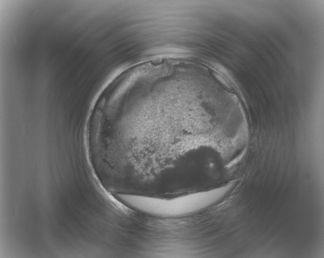 X0000064721243200602241627