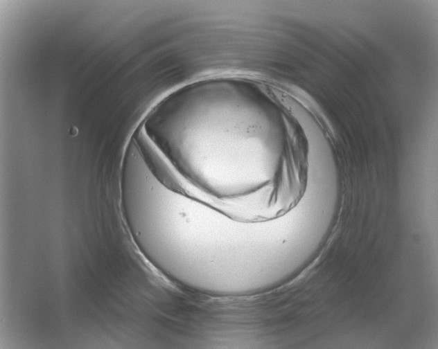 X0000064721244200602241627