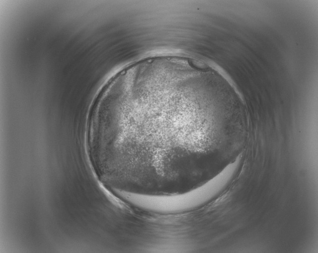 X0000064721245200602241627