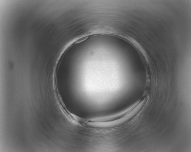 X0000064721246200602241627