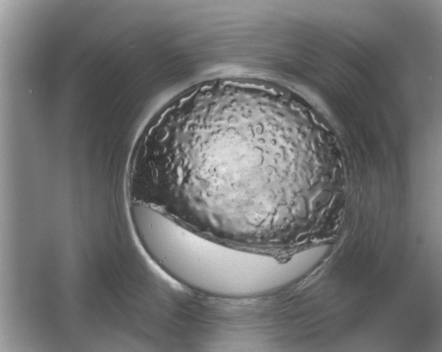 X0000064721247200602241627