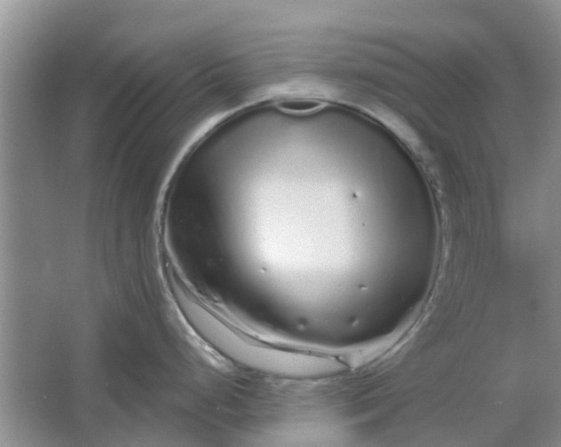 X0000064721248200602241627