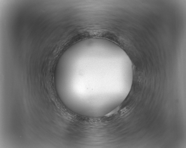 X0000064721249200602241626