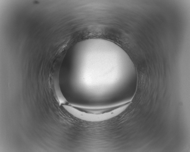 X0000064721250200602241626