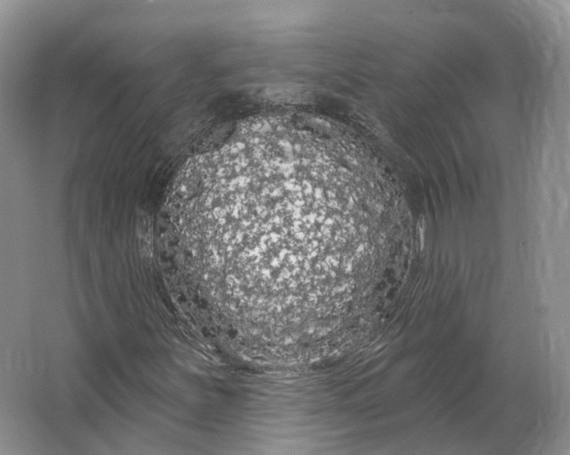 X0000064721251200602241626