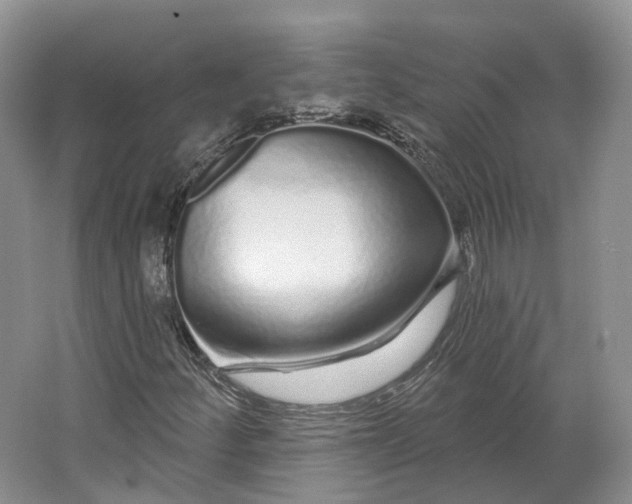 X0000064721252200602241626