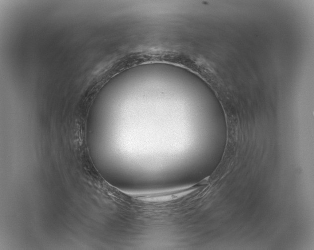 X0000064721253200602241626