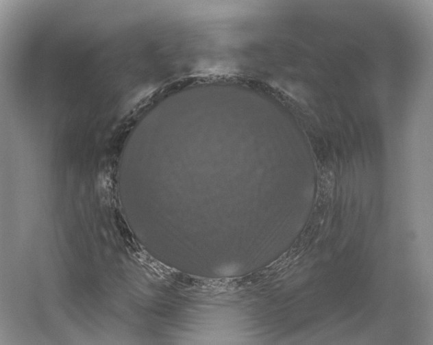 X0000064721254200602241626