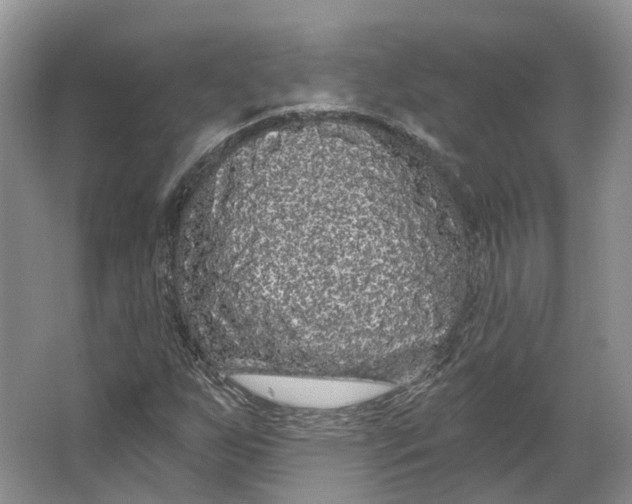 X0000064721255200602241626