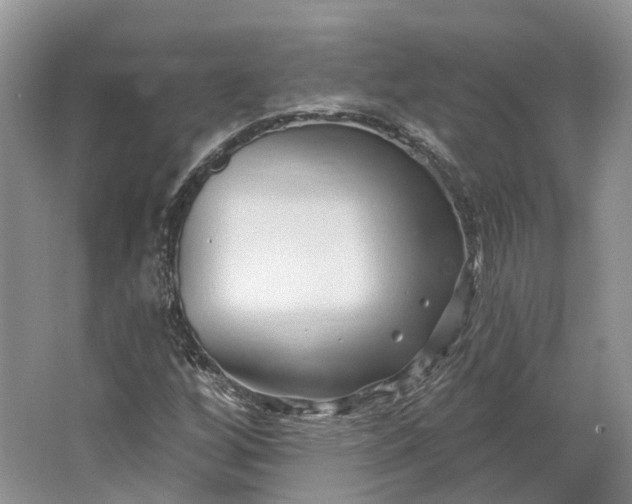 X0000064721256200602241626