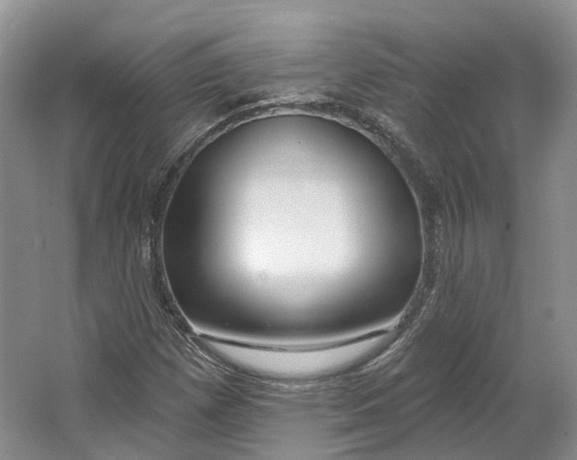 X0000064721257200602241625