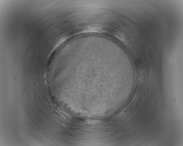 X0000064721258200602241625