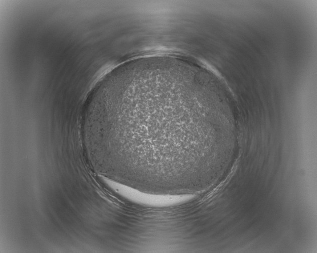 X0000064721259200602241625