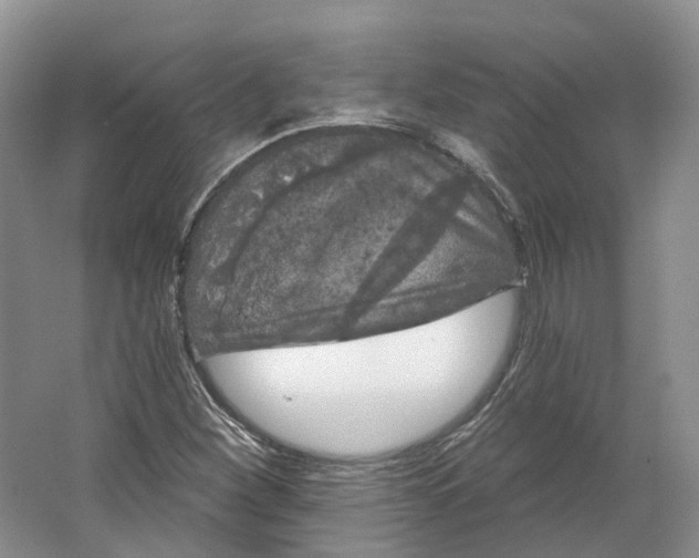 X0000064721260200602241625