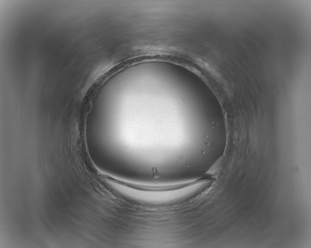 X0000064721261200602241625