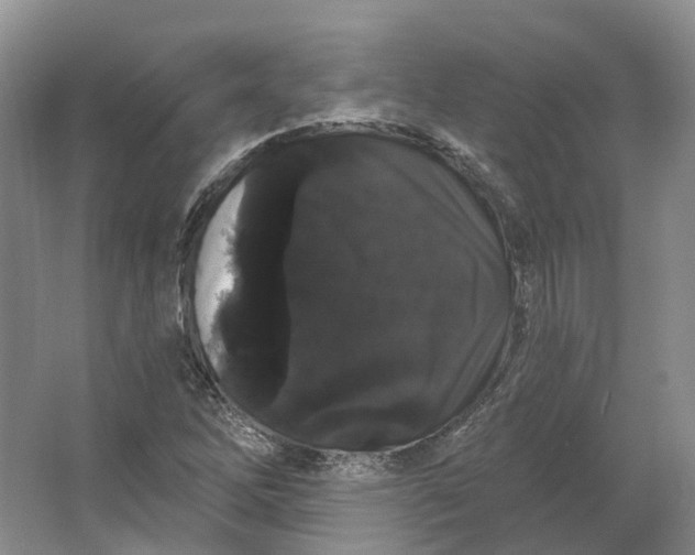 X0000064721262200602241625