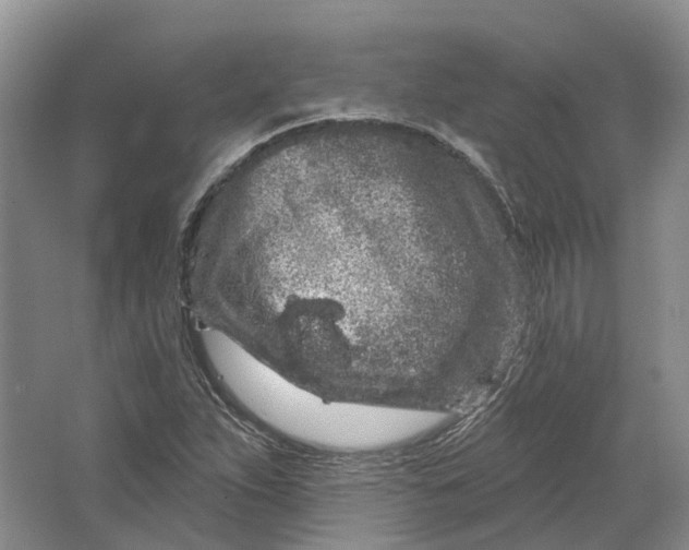 X0000064721263200602241625