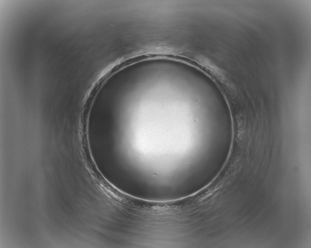 X0000064721264200602241625