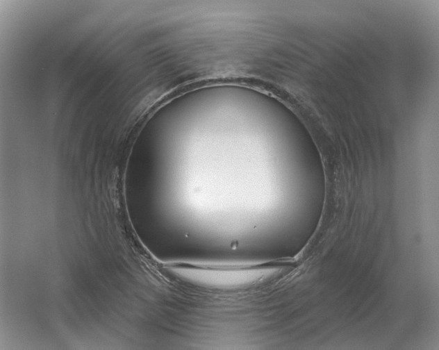 X0000064721265200602241625