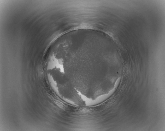 X0000064721266200602241625