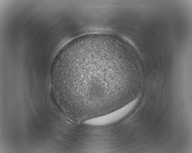 X0000064721267200602241625