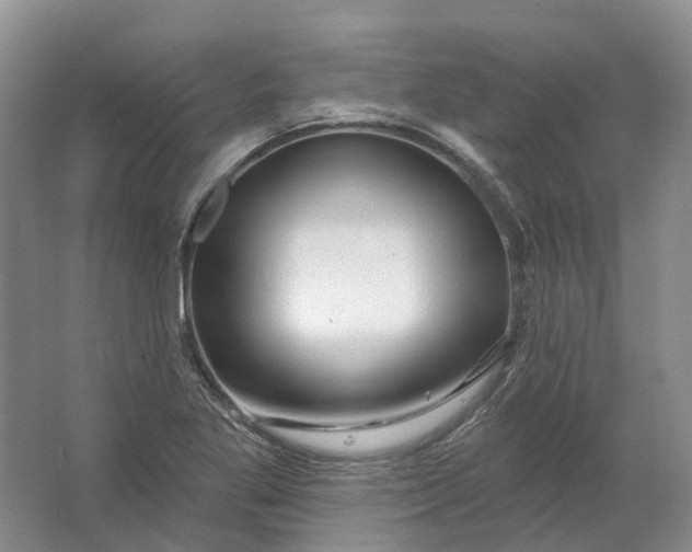 X0000064721269200602241625