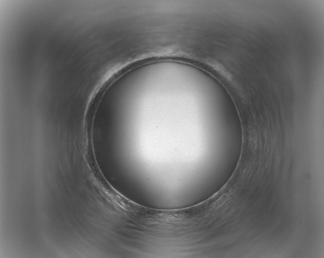 X0000064721270200602241625