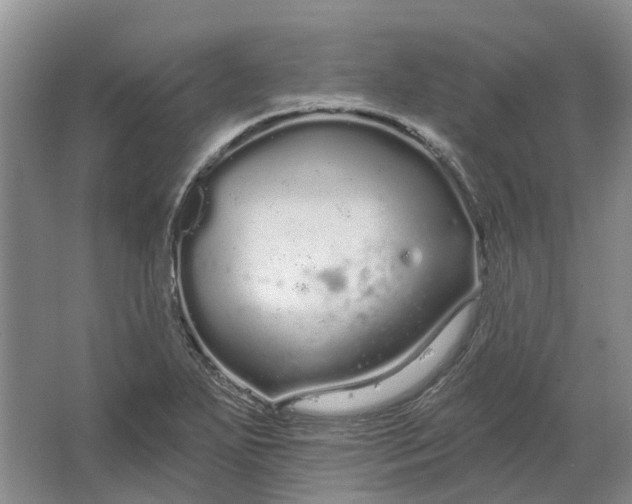 X0000064721271200602241625