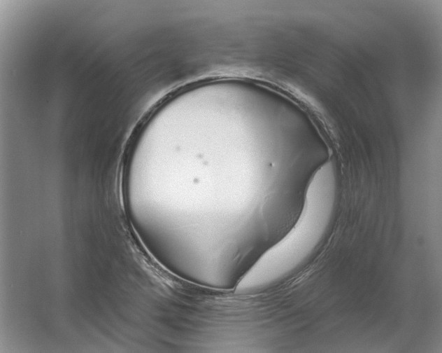 X0000064721272200602241625