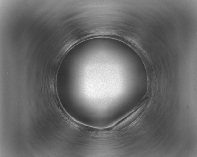 X0000064721273200602241625