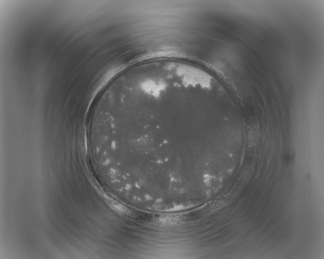 X0000064721274200602241625