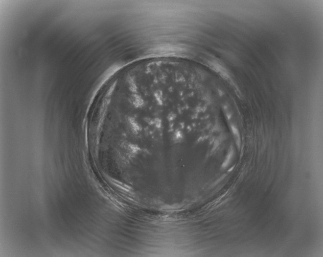 X0000064721275200602241625