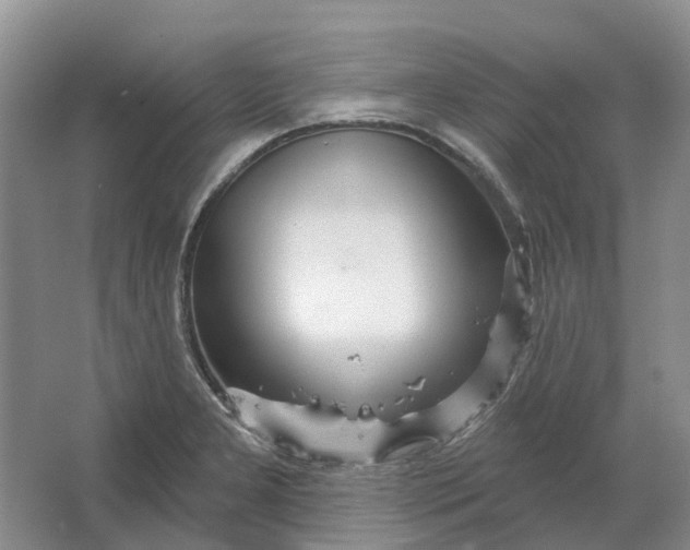 X0000064721277200602241625