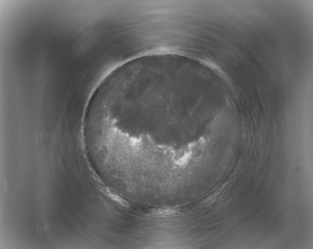 X0000064721278200602241625