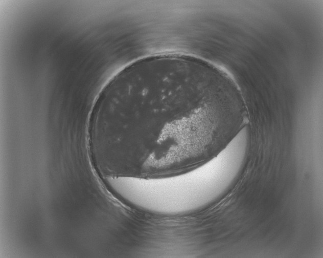 X0000064721279200602241625