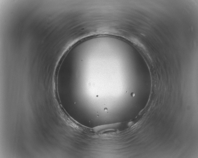 X0000064721280200602241625