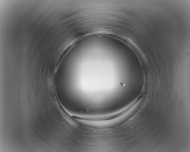 X0000064721281200602241625