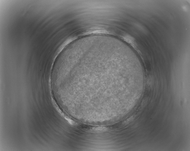 X0000064721282200602241625