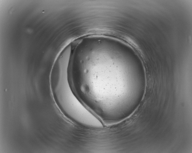 X0000064721283200602241625