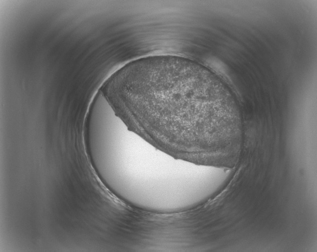 X0000064721284200602241625