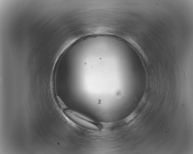 X0000064721285200602241625