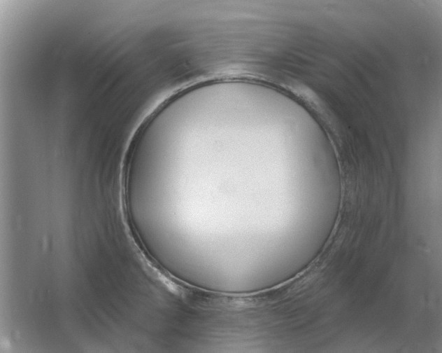 X0000064721286200602241625