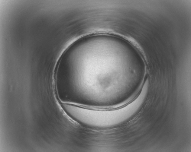 X0000064721287200602241625