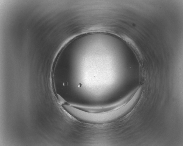 X0000064721288200602241625