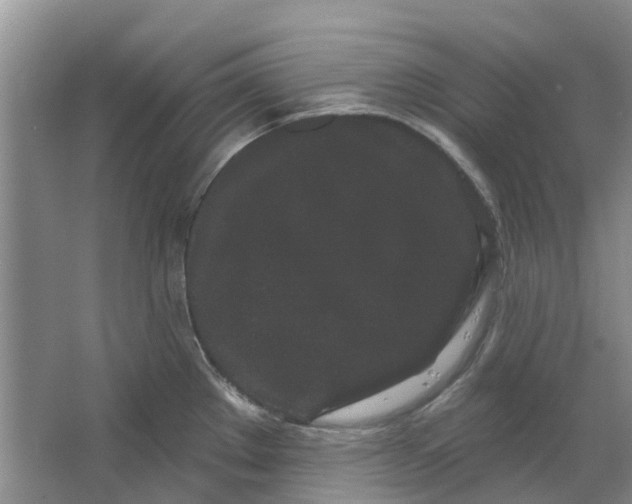 X0000064721289200602241625